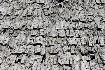Old wooden roof.