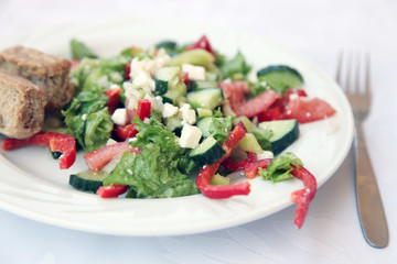 Home-made greek salad with rye bread