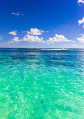 Corals Tropical Lagoon