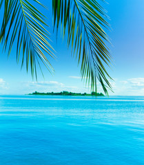 Fototapeta na wymiar Landscape Palm Island