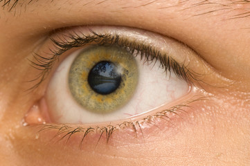 Fototapeta premium Eye