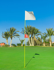 Golf Flag Stirred By The Wind