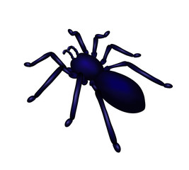 Vector spider