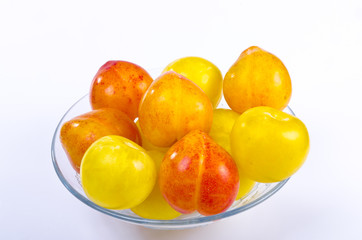 Aprikose