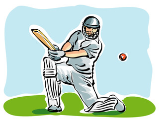 Cricket