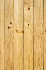 Fototapeta premium Texture of pine wood