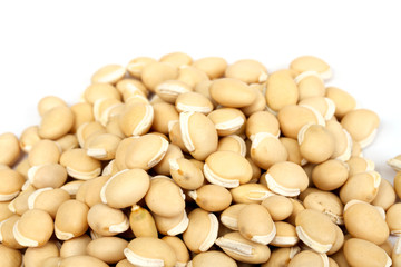 pile soybean on background