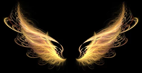 Fotobehang Demon Angel Fire hell Wings © xtern