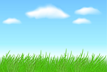 Fototapeta na wymiar Meadow grass and clouds