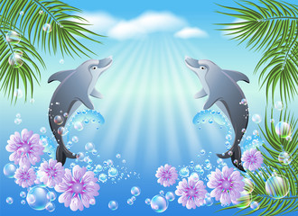 Les dauphins sautent de l& 39 eau