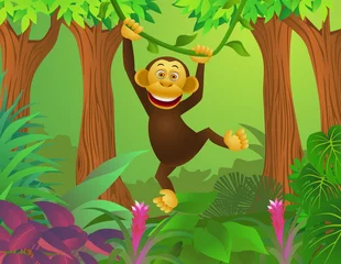 Gordijnen chimpansee in het bos © matamu