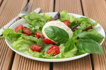 Salad with cheese mozzarella