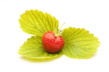 Fragole con foglie