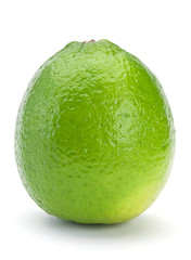 Lime citrus