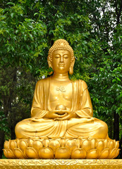 golden buddha statue meditating