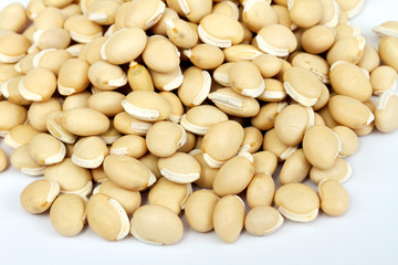 pile soybean on background