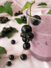 Milchshake mit schwarzen Johannisbeeren