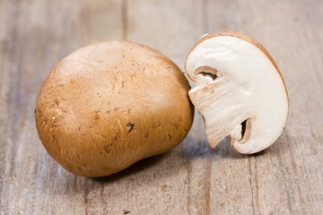 brauner Champignon