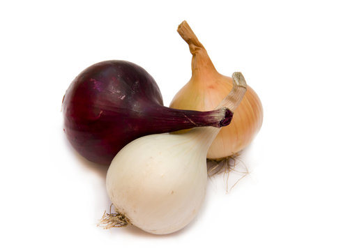 Onions on a white background