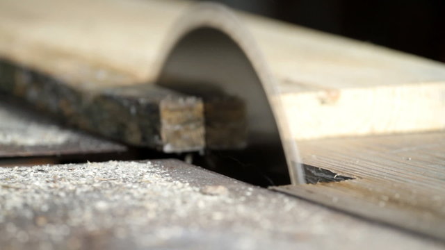 Circular saw cutting wooden plank