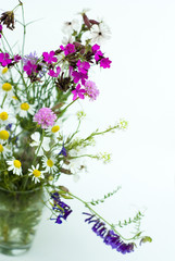 Bouquet of wild flowers on a white background