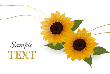 Beautiful yellow Sunflower background. Vector.