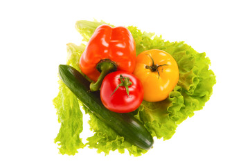 green salad and tomato isolated on the white background