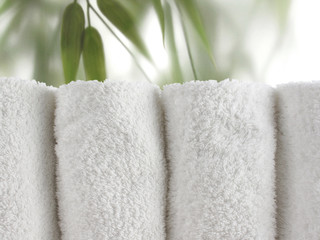 Bamboo Spa in Horizontal