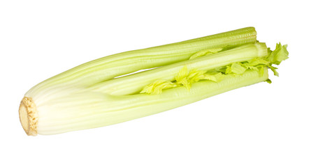 Fresh green celery vegetable