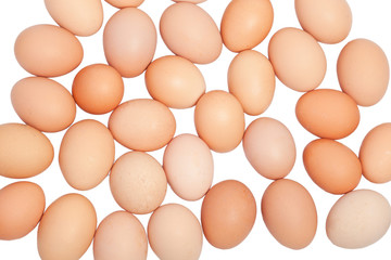 eggs