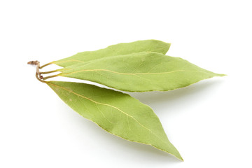 Laurel leaves isolated on white