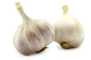 Fototapeta premium Two big garlics