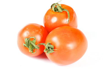 three beautiful fresh tomato