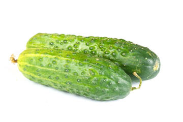 two cucumbers isolated