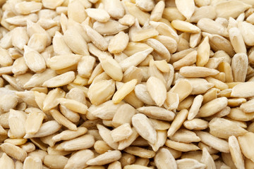 Sunflower seeds isolated