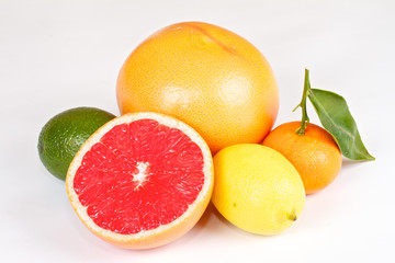 Fresh juicy grapefruits