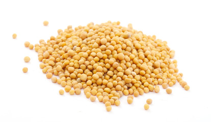Yellow mustard seeds isolated