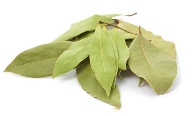 Fototapeta premium Laurel leaves isolated on white