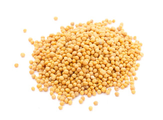 Yellow mustard seeds isolated
