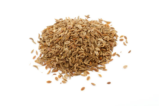 dill seed isolated