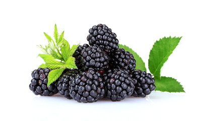 beautiful blackberries isolated on white