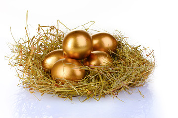 Fototapeta na wymiar golden eggs in nest isolated on white