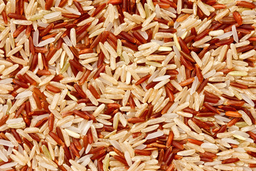 Mixed  rice grain