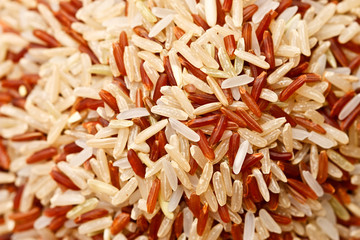 Mixed  rice grain