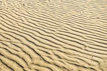 puckered texture of sand beach