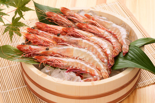 クルマエビ（クマエビ）12尾