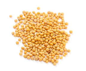 Yellow mustard seeds isolated on white background