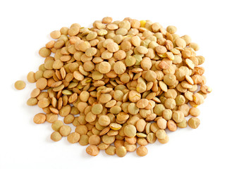 Brown lentils scattered on white background