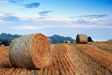 Obraz premium Beautiful golden hour hay bales sunset landscape