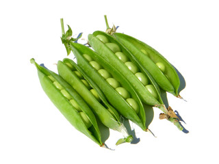 fresh Pea Pods from own garden  on white